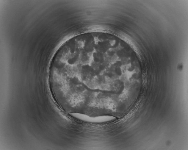 X0000097991043200804211059