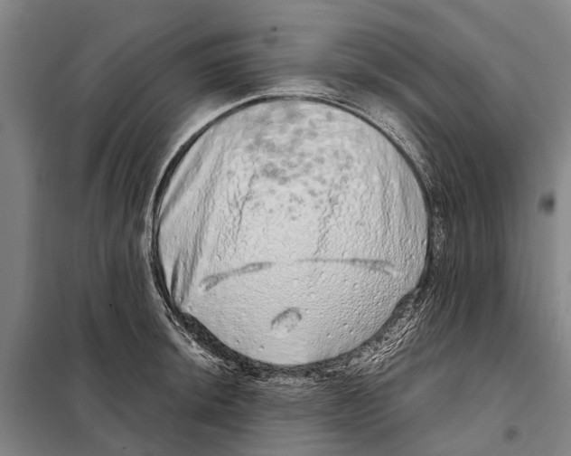 X0000097991044200804211059