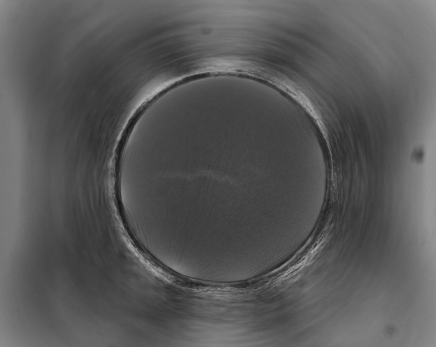 X0000097991045200804211059