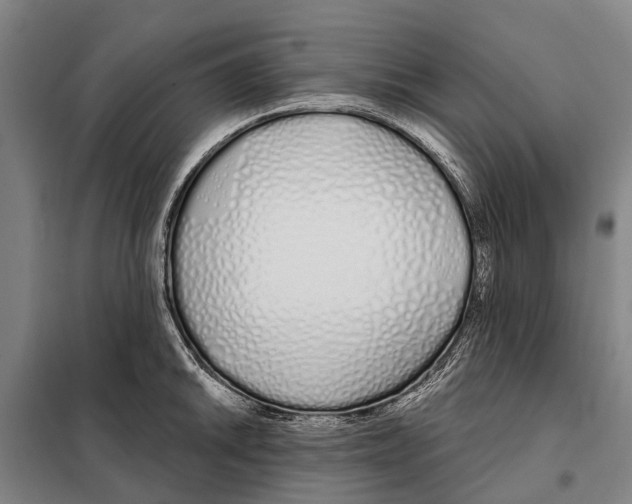 X0000097991046200804211059