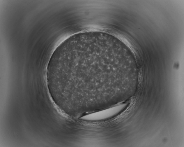 X0000097991047200804211059