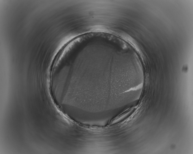 X0000097991048200804211059