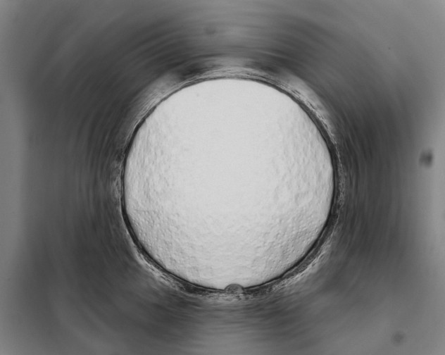 X0000097991049200804211059