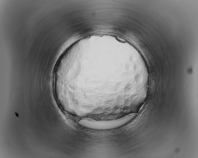 X0000097991050200804211059