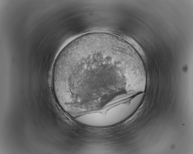 X0000097991052200804211059