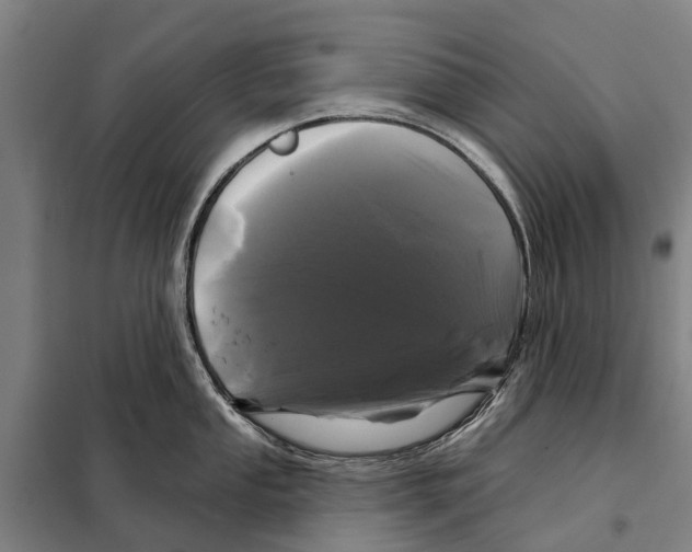 X0000097991053200804211059