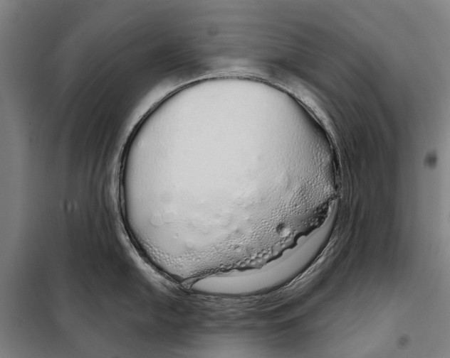 X0000097991054200804211059