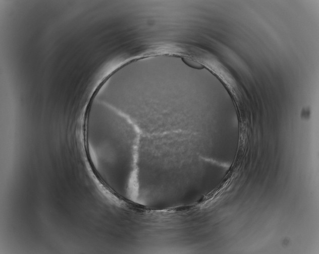 X0000097991055200804211059