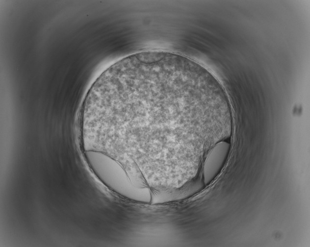 X0000097991056200804211059