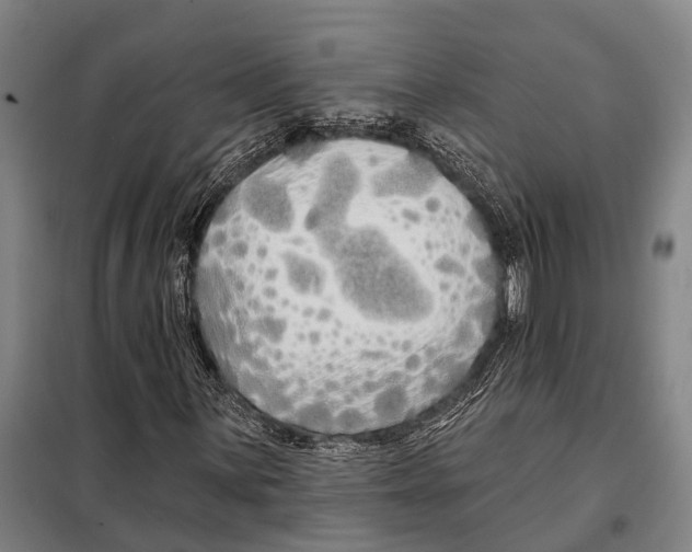 X0000097991059200804211058