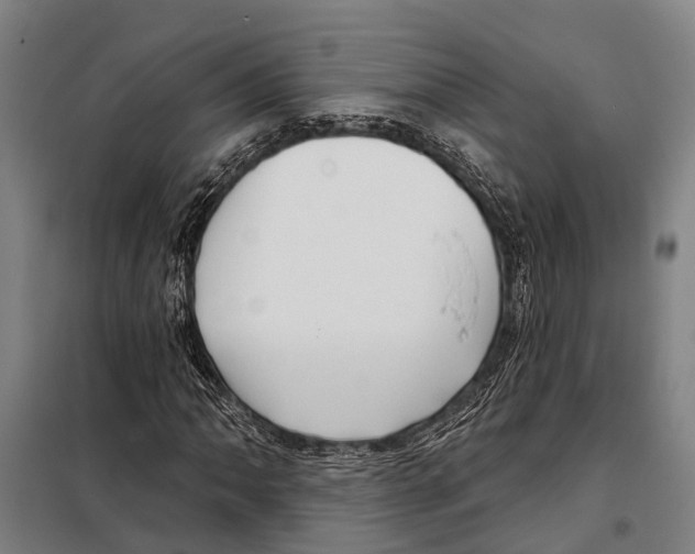 X0000097991062200804211058