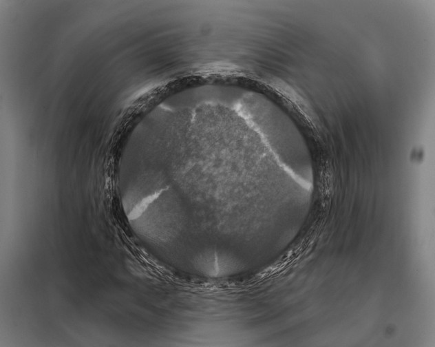 X0000097991063200804211058