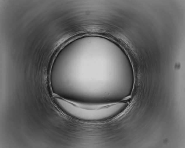 X0000097991065200804211058