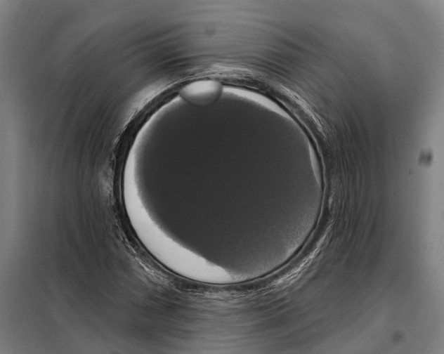 X0000097991066200804211058