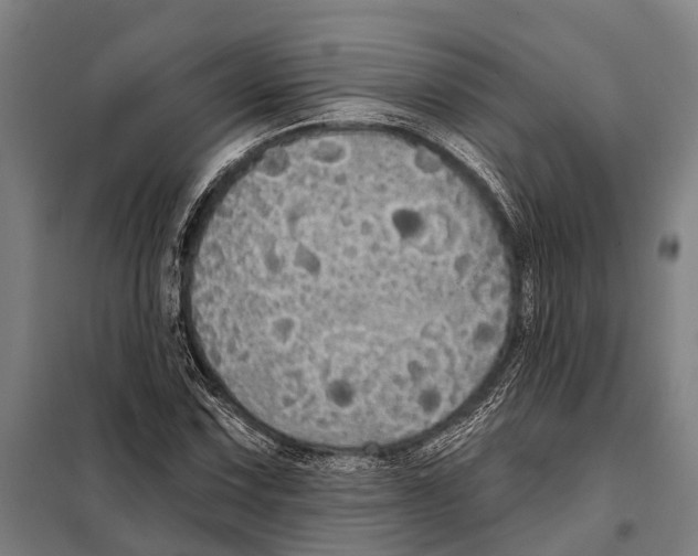 X0000097991067200804211058