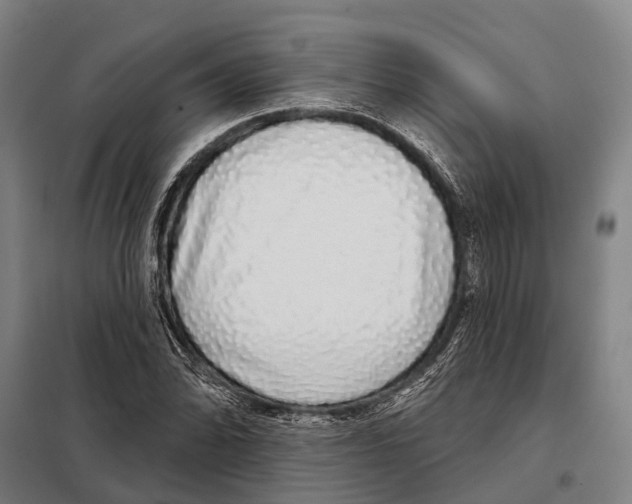 X0000097991070200804211058