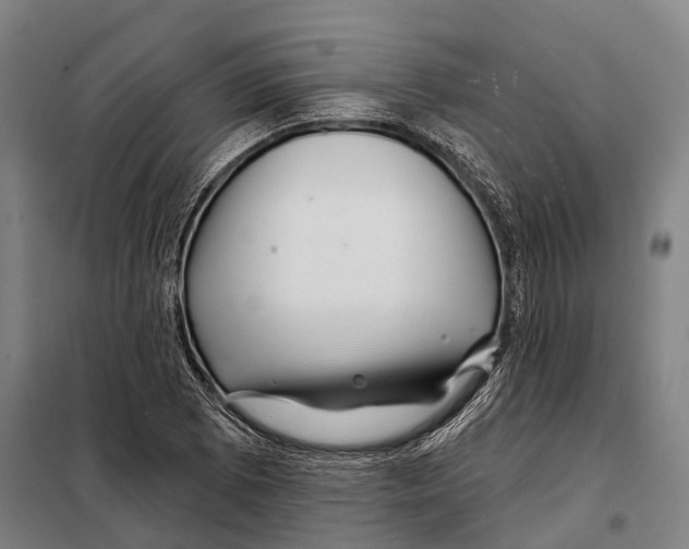 X0000097991073200804211058