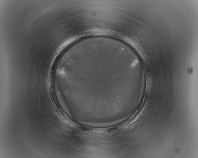 X0000097991074200804211058