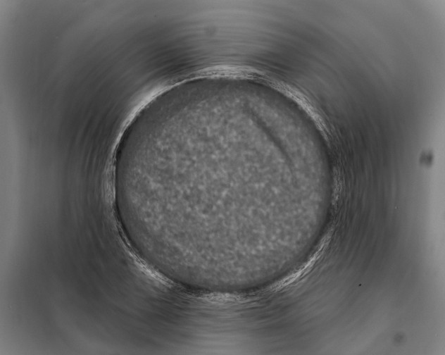 X0000097991075200804211057