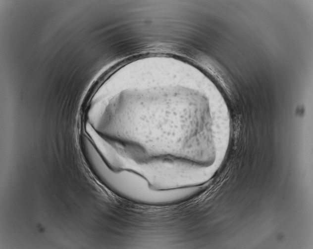 X0000097991076200804211057