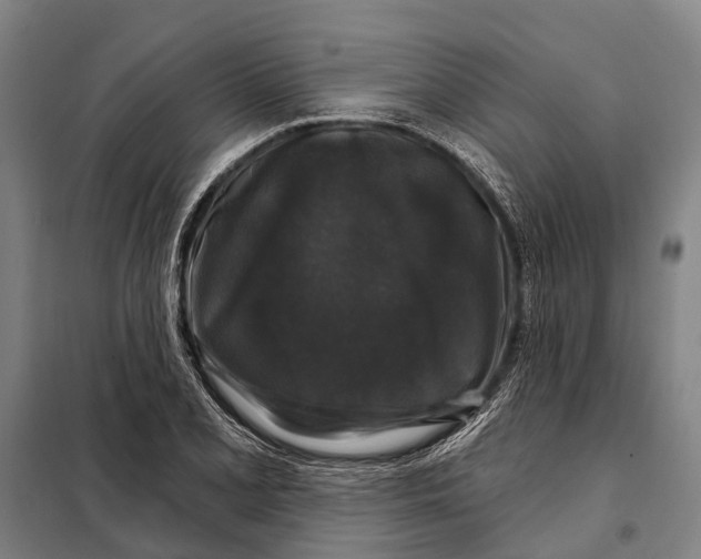 X0000097991077200804211057