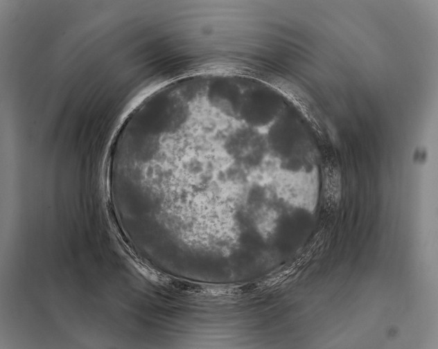 X0000097991078200804211057