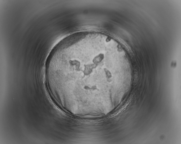 X0000097991079200804211057