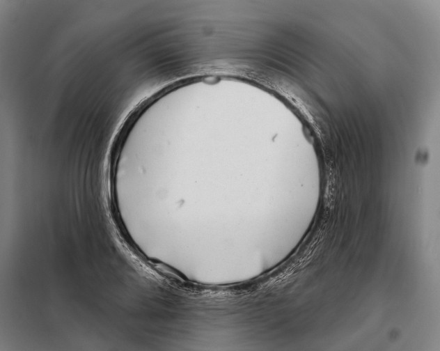 X0000097991080200804211057