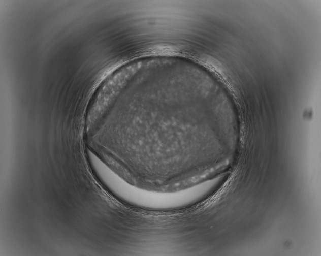 X0000097991081200804211057