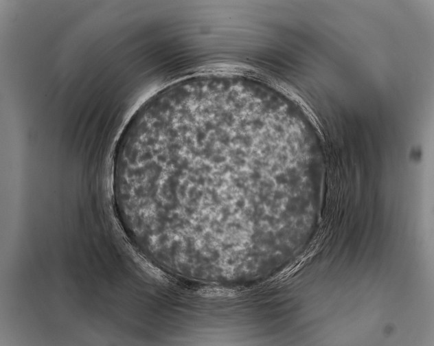 X0000097991083200804211057