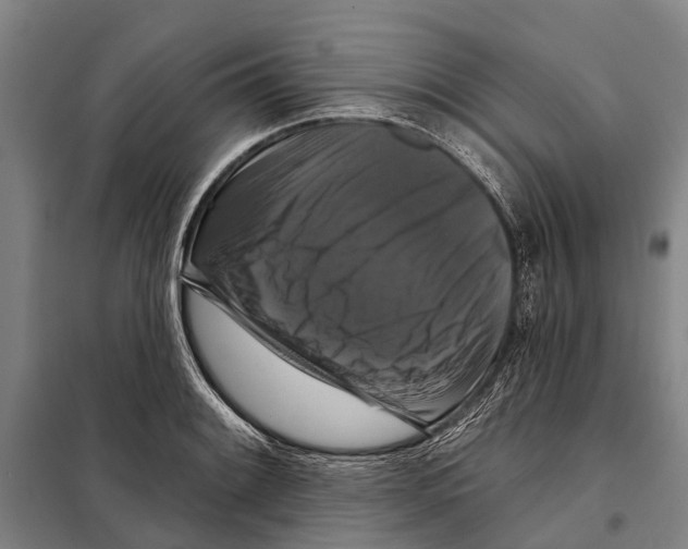 X0000097991084200804211057