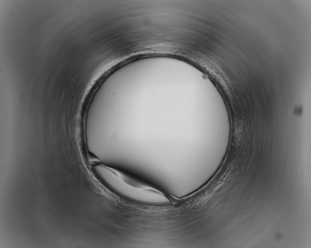 X0000097991085200804211057