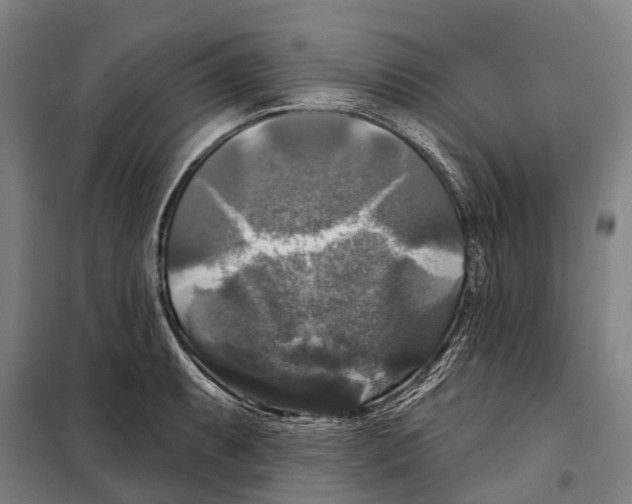 X0000097991087200804211057