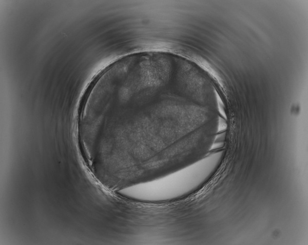 X0000097991088200804211057