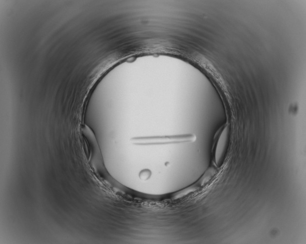 X0000097991089200804211057