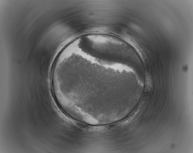 X0000097991090200804211057