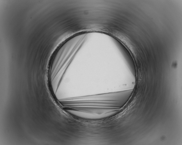 X0000097991093200804211057