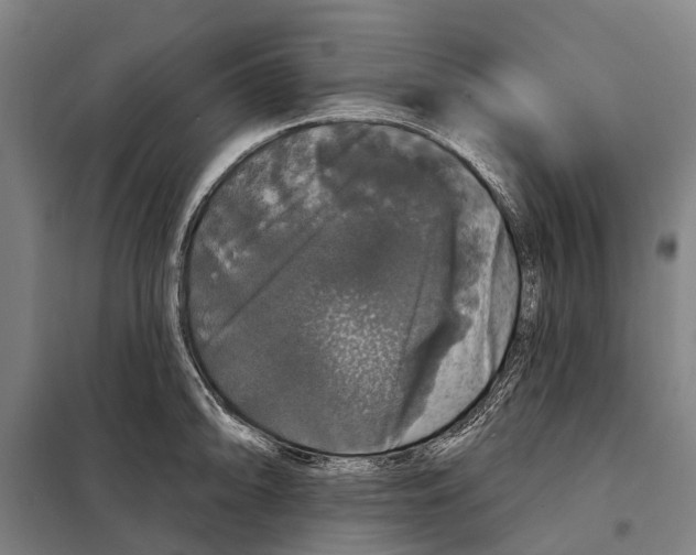 X0000097991094200804211057