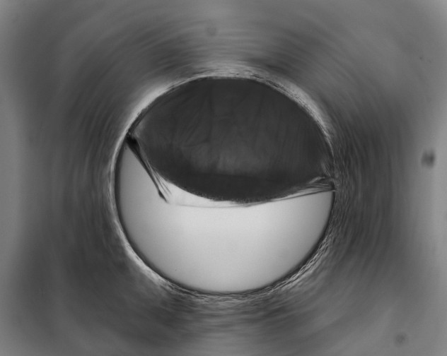 X0000097991095200804211057