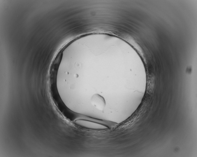 X0000097991096200804211057