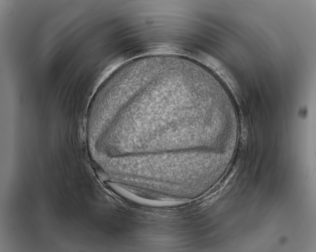 X0000097991097200804211057