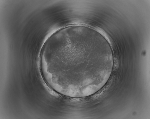 X0000097991098200804211057