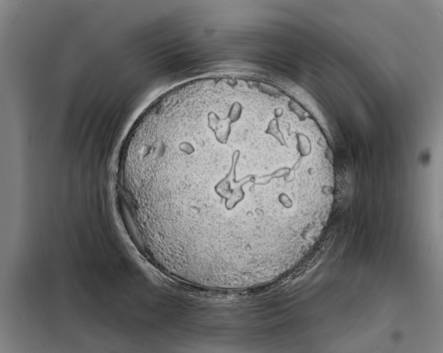 X0000097991099200804211057