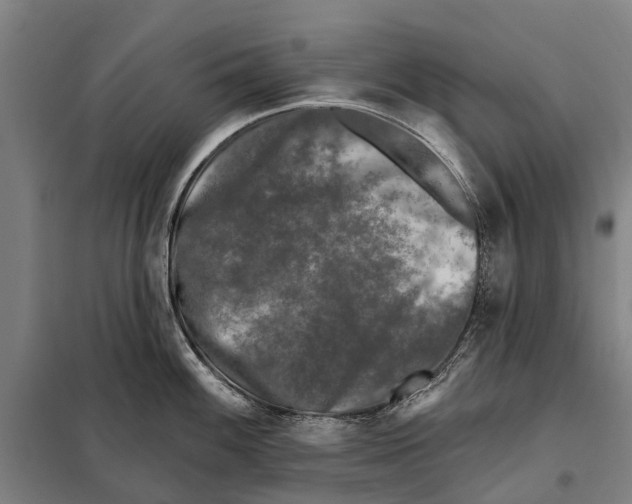 X0000097991100200804211057