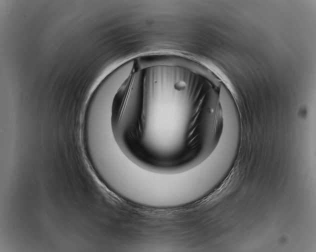 X0000097991101200804211057