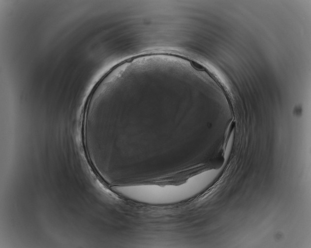 X0000097991102200804211057