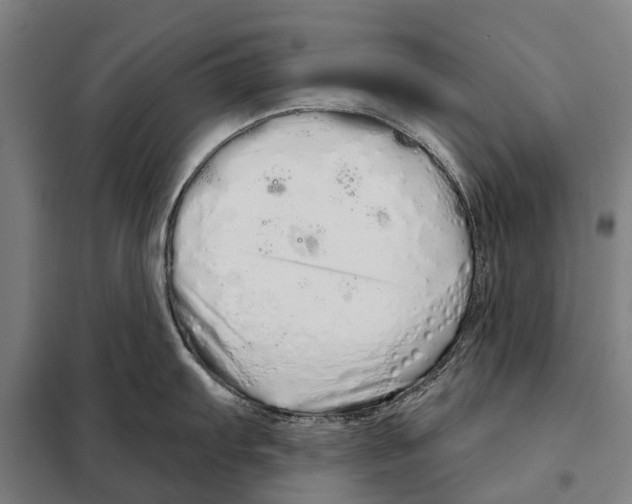 X0000097991103200804211057