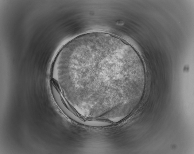 X0000097991104200804211057