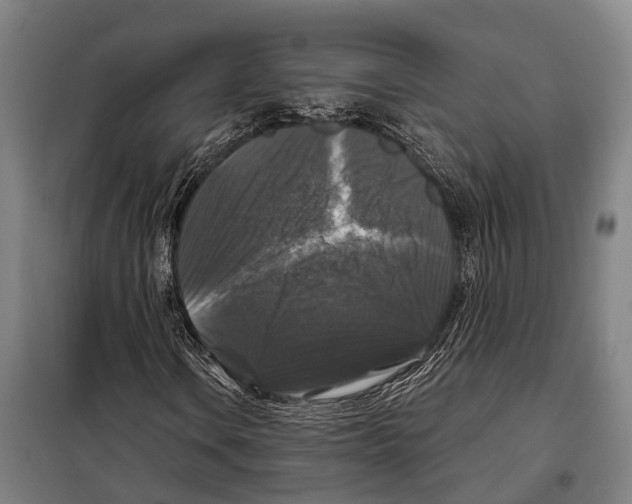 X0000097991106200804211056