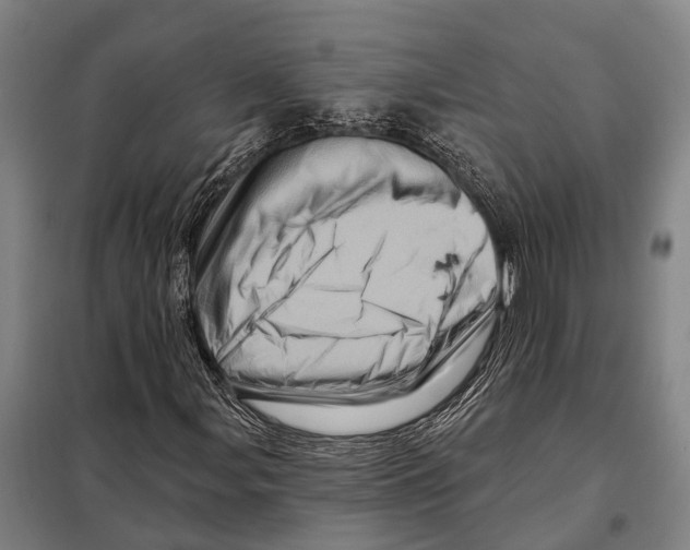 X0000097991107200804211056